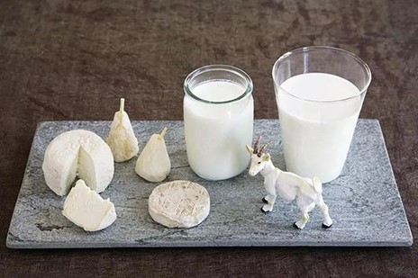 2022年世界牛奶日·全國乳品營養(yǎng)周專稿——科普羊奶營養(yǎng)，推進(jìn)全民健康