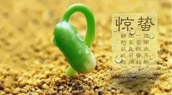 驚蟄